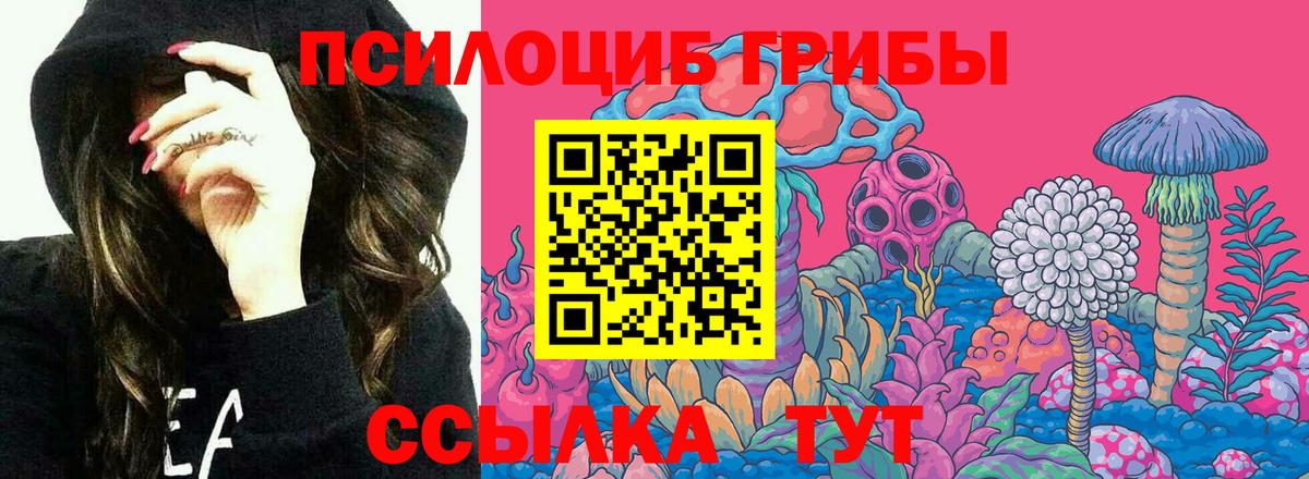 Галлюциногенные грибы MAGIC MUSHROOMS  цена наркотик  Соликамск  Вход с VPN 