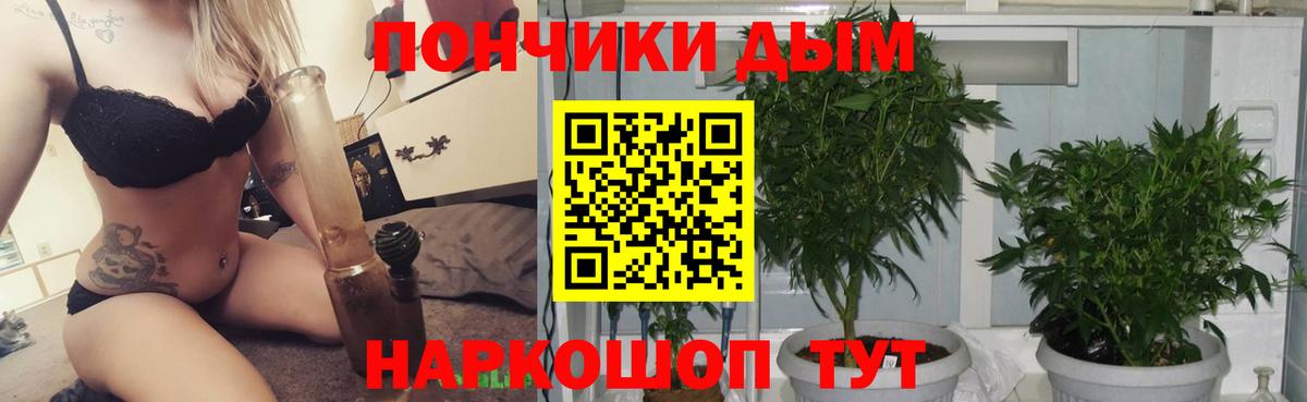 Конопля семена  Вход с VPN  Каннабис семена  Соликамск  МАРИХУАНА ГИДРОПОН  Канабис план 